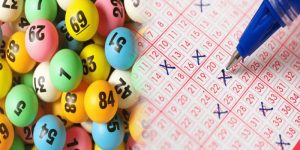 nay-de-ve-con-gi-ok9